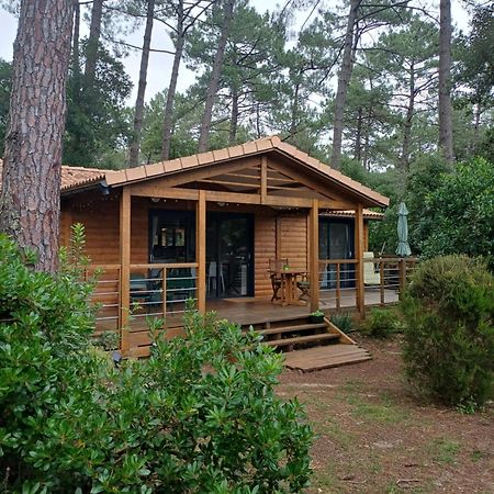 Chalet La Lande Ondres Εξωτερικό φωτογραφία