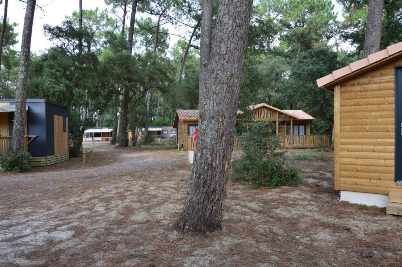 Chalet La Lande Ondres Εξωτερικό φωτογραφία